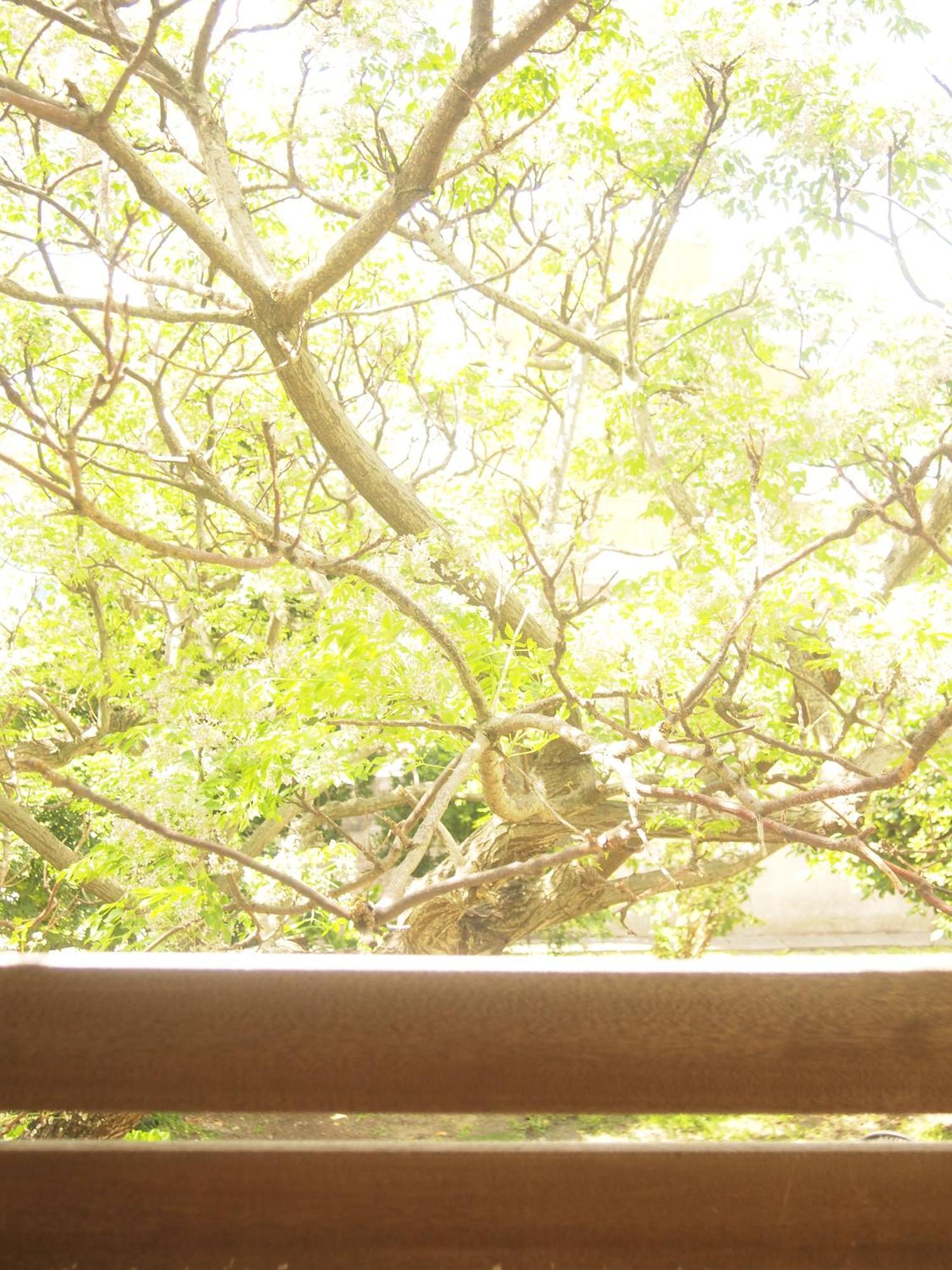 Cha Villa Zamami Room photo